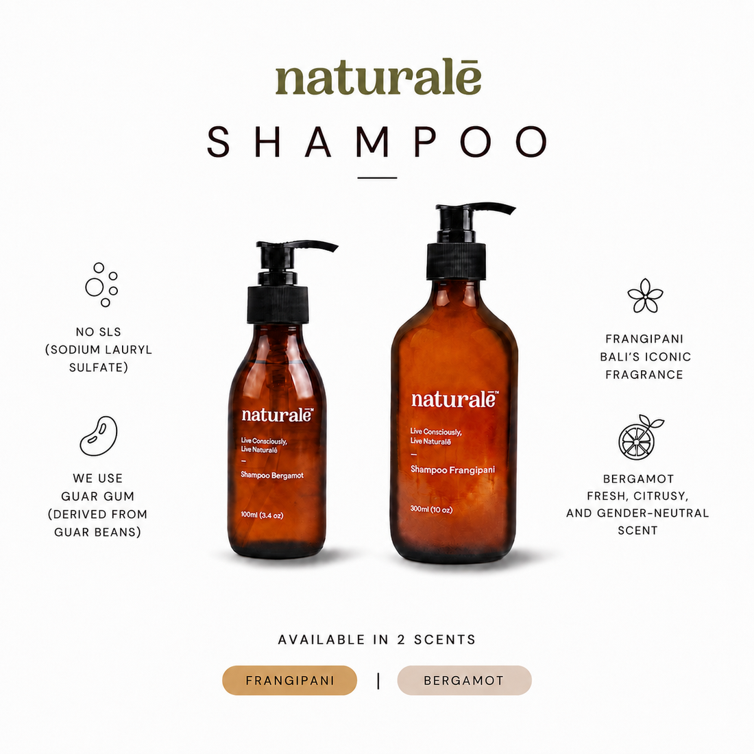 Shampoo