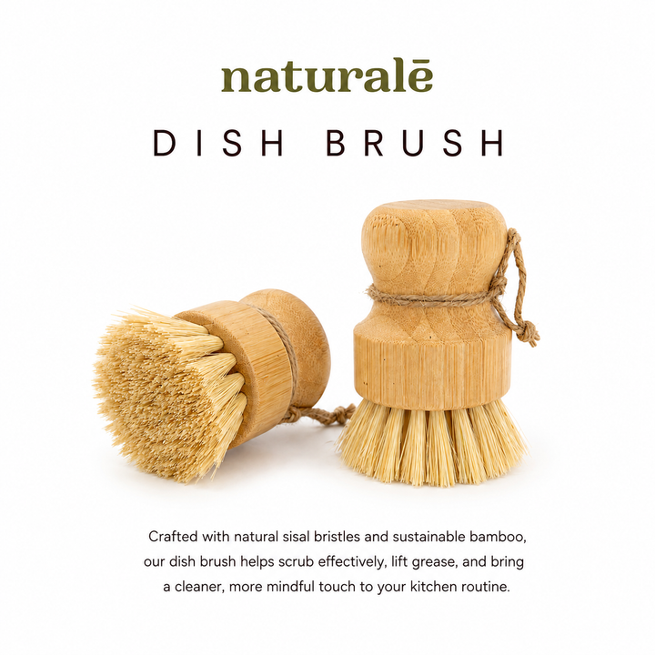 Dish Brush